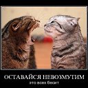 ���� ����, ����, 50 ��� - ��������� 17 ������ 2010 � ������ �������