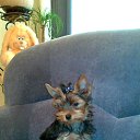 ���� Diana, ���������, 57 ��� - ��������� 7 ���� 2013