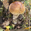 ���� �������, ���������, 24 ���� - ��������� 6 ������� 2011 � ������ ��������!!!�