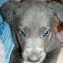 ���� ��������, ������, 71 ��� - ��������� 18 ������ 2012