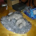 ���� Svetlanas, ���������, 47 ��� - ��������� 7 ���� 2010 � ������ ���� �������