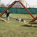 ���� ���, ������, 38 ��� - ��������� 16 ������ 2012