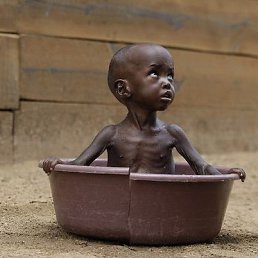 �����, �����������, 41 ���