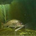 ���� �������, ������������ - ��������� 2 ���� 2010 � ������ �������