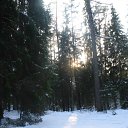 ���� ������, �����-���������, 66 ��� - ��������� 1 ������ 2012 � ������ ����� 2012 ����.�