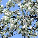 ��� ���������� ��������� ��� ���.
�� �����������, ��� ������?
����� ��� ����� ���������.
������ �� ������������ � �� ���������, ��� ������ ������� ��������� ����, ��� ��� �������� ������� ����. ���.. ��� ����������� ����� - ��� ������ ������������.
������ ���� ������� �����, ������� ������ ������������.
 ~ �����
