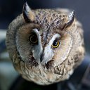  Infinitty, , 27  -  30  2011    !