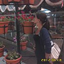 ���� ����, ���������, 48 ��� - ��������� 8 ���� 2012 � ������ ���� ����������