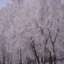 ���� �����, ��������, 45 ��� - ��������� 3 ������� 2010 � ������ ����� �������