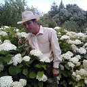 ���� ���������, �������, 43 ���� - ��������� 2 �������� 2012 � ������ ���� ����������