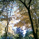 ���� ����(�� �������), ��������������, 62 ���� - ��������� 14 ������� 2011 � ������ ���������������