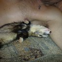 ���� ������, ������ - ��������� 1 ������� 2011