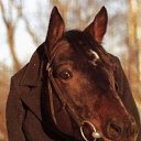 ���� �������, �����-���������, 50 ��� - ��������� 20 ����� 2012