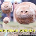 ���� �������, �������, 59 ��� - ��������� 18 ��� 2011 � ������ �������