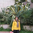 ���� �������, ������-��-����, 53 ���� - ��������� 10 ������ 2012 � ������ ���� ����������