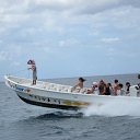 ���� �����, �����-���������, 42 ���� - ��������� 8 ������ 2009 � ������ �������