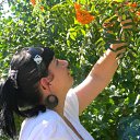 ���� ����, �����-���������, 43 ���� - ��������� 24 ������� 2011 � ������ ���� ����������