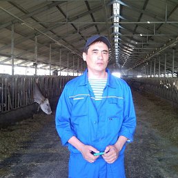 �����, ���, 49 ���