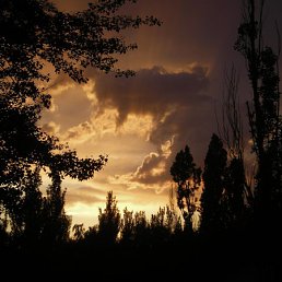 ���� Alexandr, ��������, 62 ���� - ��������� 5 ������ 2010