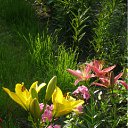 ���� �����, ����������, 49 ��� - ��������� 11 ����� 2011 � ������ ������� ���������