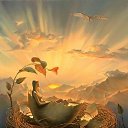 ����������� �� ������� ���� ����������