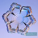 ���� �������, ������, 41 ��� - ��������� 9 ������� 2009 � ������ ���������