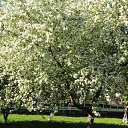 ���� ���, ����� - ��������� 11 ���� 2013