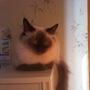 ���� ����, �������� - ��������� 22 �������� 2012 � ������ ����� �������)))�