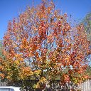 ���� �����, ������, 59 ��� - ��������� 13 �������� 2012 � ������ �������