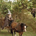 ���� ����, ���������, 41 ��� - ��������� 7 ���� 2011