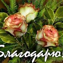 ���� ����������, �����-��������� - ��������� 24 �������� 2012 � ������ ����������,������