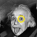 ���� ���������, ������, 48 ��� - ��������� 31 ������� 2012