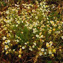 ����! �� ������� �������