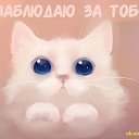 ���� ����, ��������� - ��������� 16 ������� 2012 � ������ �������