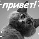 ���� ���������, ������, 71 ��� - ��������� 1 ������ 2012 � ������ �������