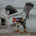 ���� Cem, ������� - ��������� 22 ������� 2011 � ������ �nefes al&amp;#305;p verdi&amp;#287;im &amp;#351;ehir�