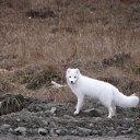 ���� ��������, ������ - ��������� 21 ����� 2012 � ������ �������� �����