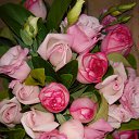 ���� ����� - ���������� ��������!!!, �����������, 56 ��� - ��������� 15 ������ 2010 � ������ ����ۻ