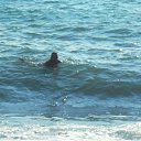 ���� �����, ����, 51 ��� - ��������� 29 �������� 2012 � ������ ���� ����������