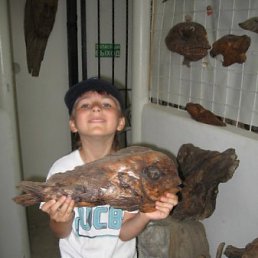 ������, ������, 23 ����