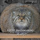 ���� �����, ������������, 56 ��� - ��������� 7 ���� 2013 � ������ �������