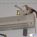 ��� �� ������� ���������
