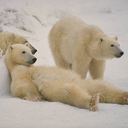 ���� �������, ������, 47 ��� - ��������� 2 ������ 2011