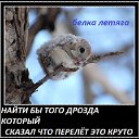 ���� Ը���, �����������, 38 ��� - ��������� 8 ������� 2012 � ������ ���� ����������