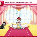 ���� Arial, ������� �����, 42 ���� - ��������� 6 ���� 2011 � ������ �PetLove�