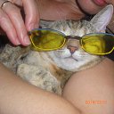 ���� �����, ������������, 50 ��� - ��������� 5 �������� 2010 � ������ �2010�