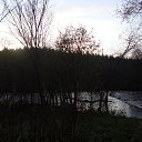  Serzh Van Der Maaremaan,  -  9  2009    