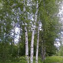 ���� ������, ����� - ��������� 12 ���� 2013 � ������ ���� ����������