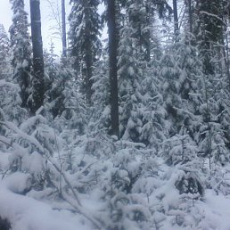 ���� �������, �����-���������, 48 ��� - ��������� 21 ������� 2012