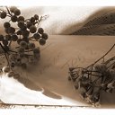 ������� �� �������� �����. ����� ������ - ��� ���������, ����� �������, ��� ������. ���, ��� ���� ������, ������� �� ����� ������ ��, ��� �����. ������ - ��� ����� �� �������, � ������. �� ������� �������